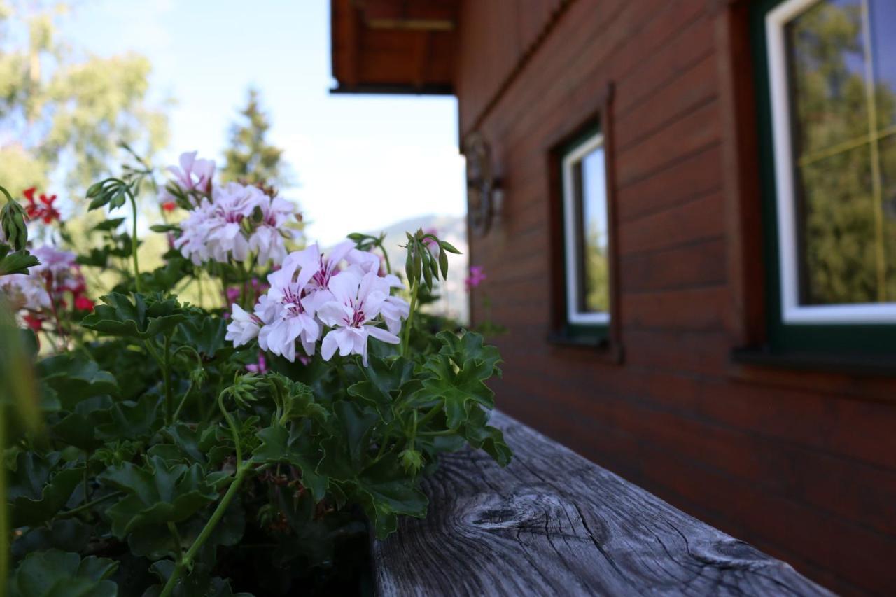 Ferienhaus Am Muehlbach Gams bei Hieflau Buitenkant foto